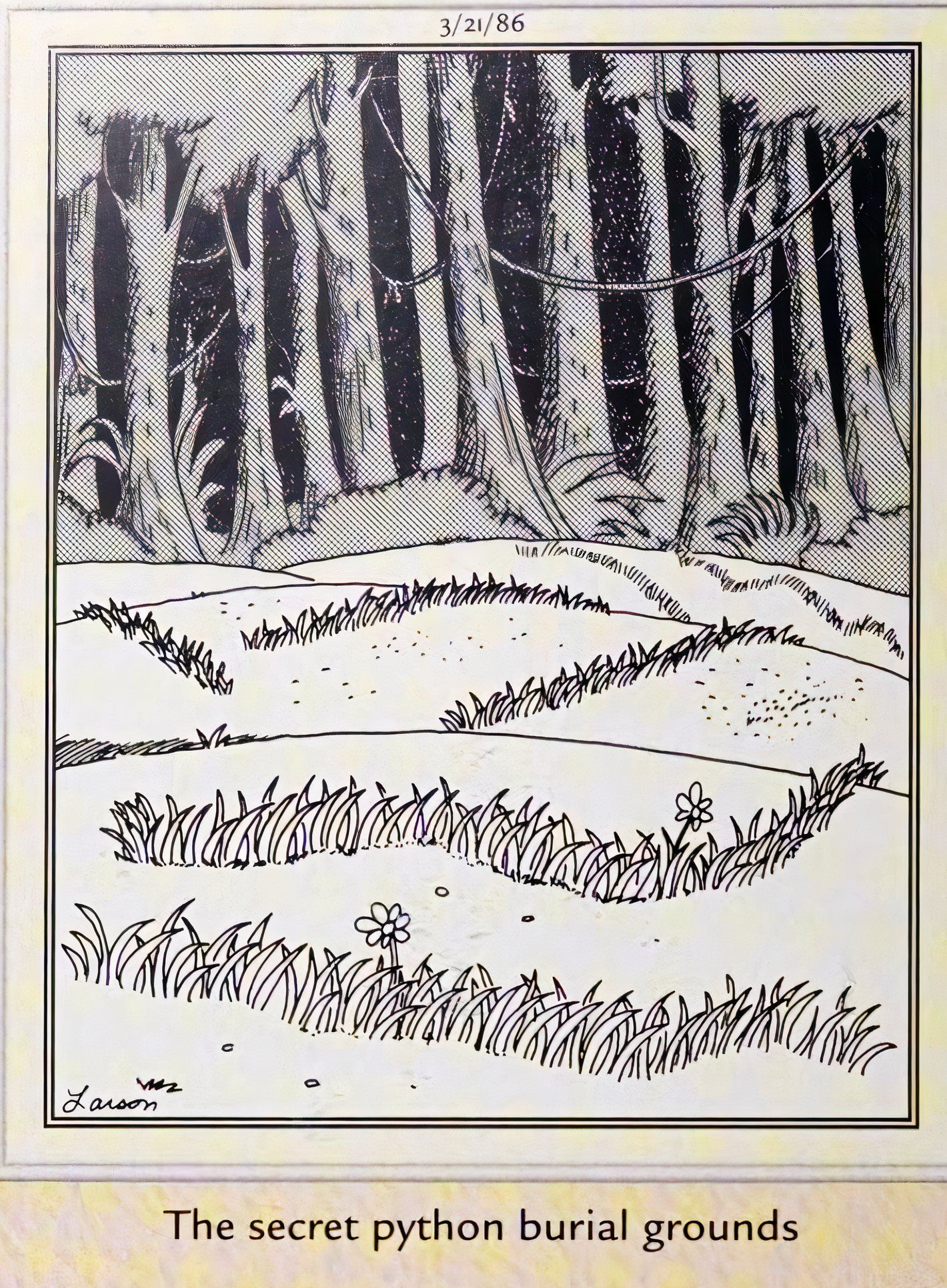 Far Side, March 21, 1986, the 'secret python burial ground'