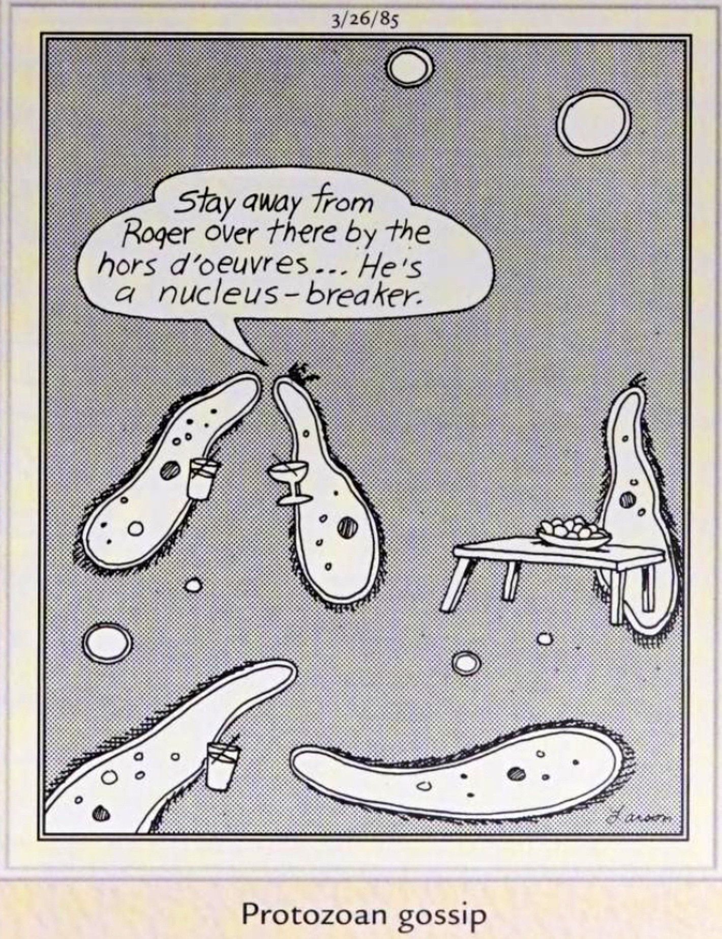 Far Side, 26 de março de 1985, ameba em uma festa diz a outro que 'Roger' é um destruidor de núcleo