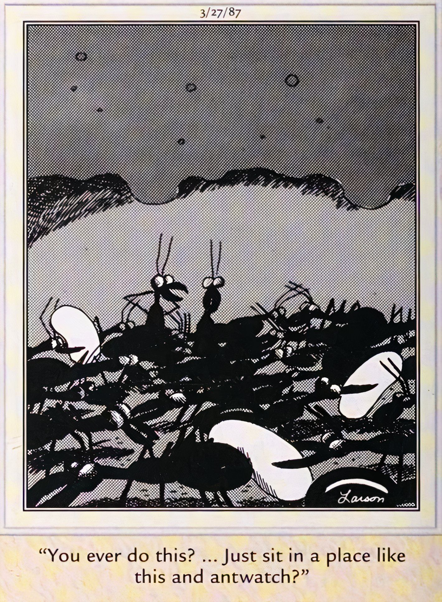 Far Side, 27 de março de 1987, uma formiga pergunta a outra se elas alguma vez ficaram sentadas observando as formigas, enquanto a colônia se movimentava ao redor delas.