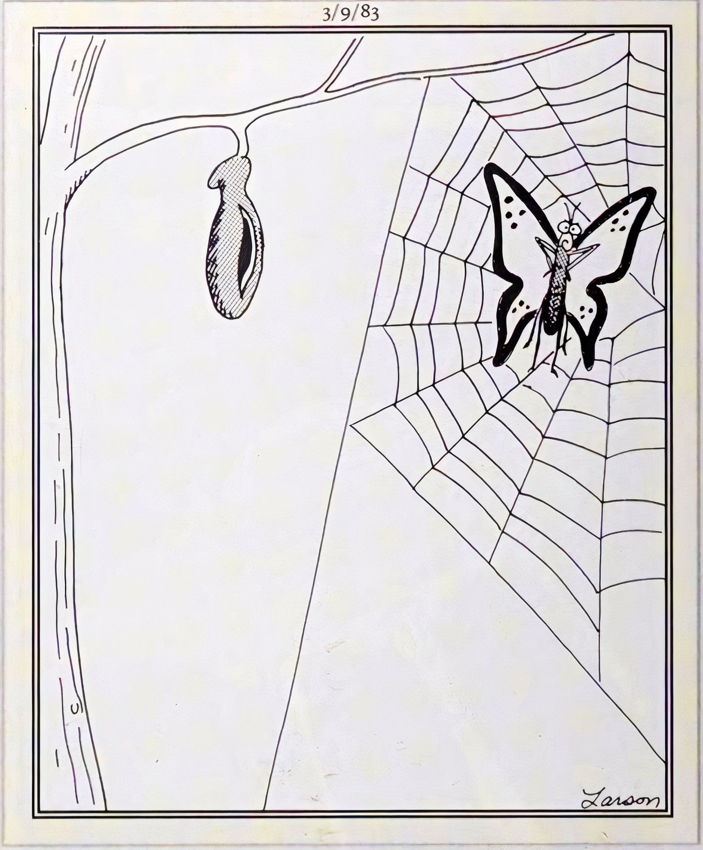 Far Side, March 9, 1983, a butterfly emerges from a cocoon right into a spider web