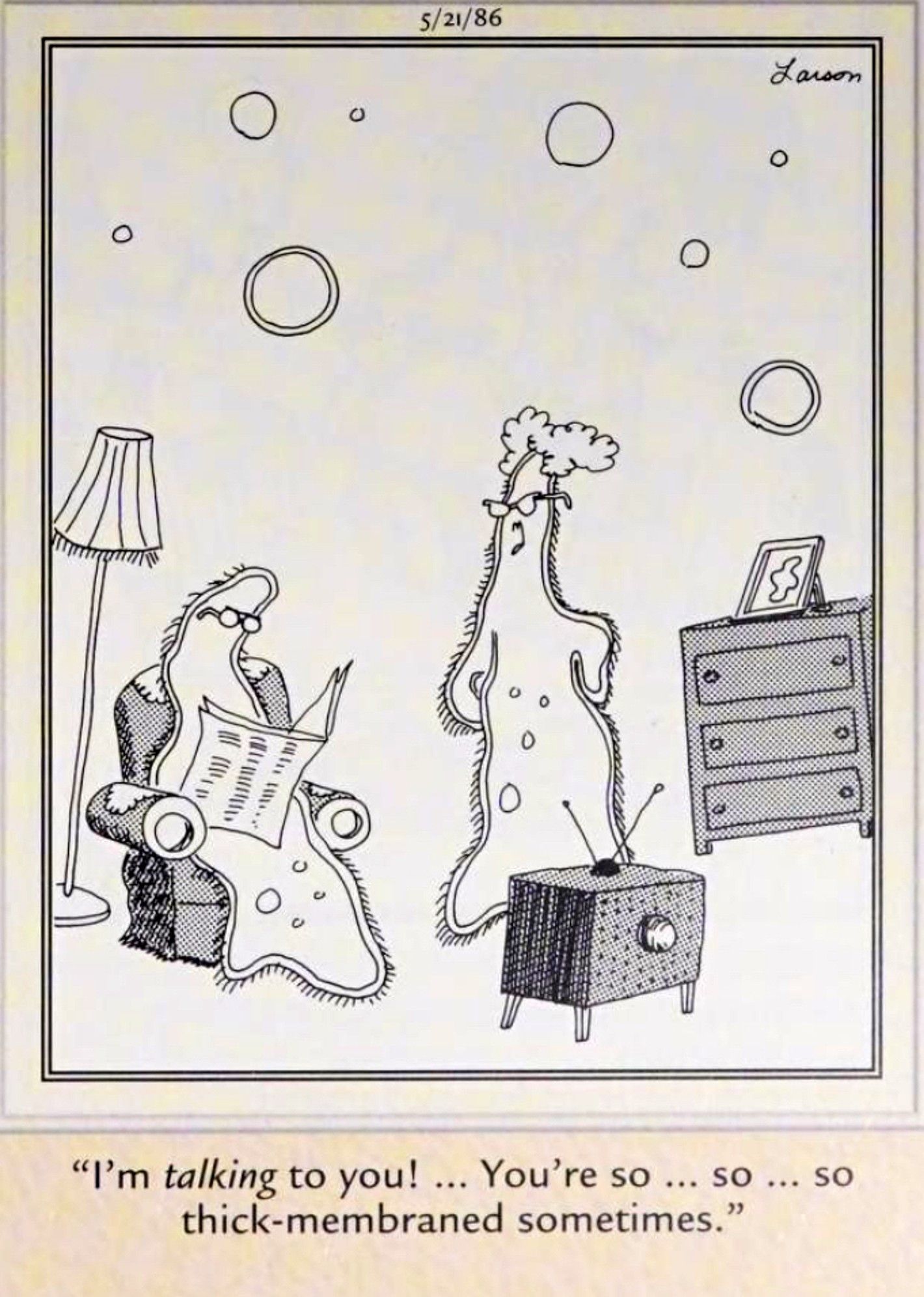 Far Side, 21 de maio de 1986, esposa de ameba grita com o marido por ter 'membrana espessa'