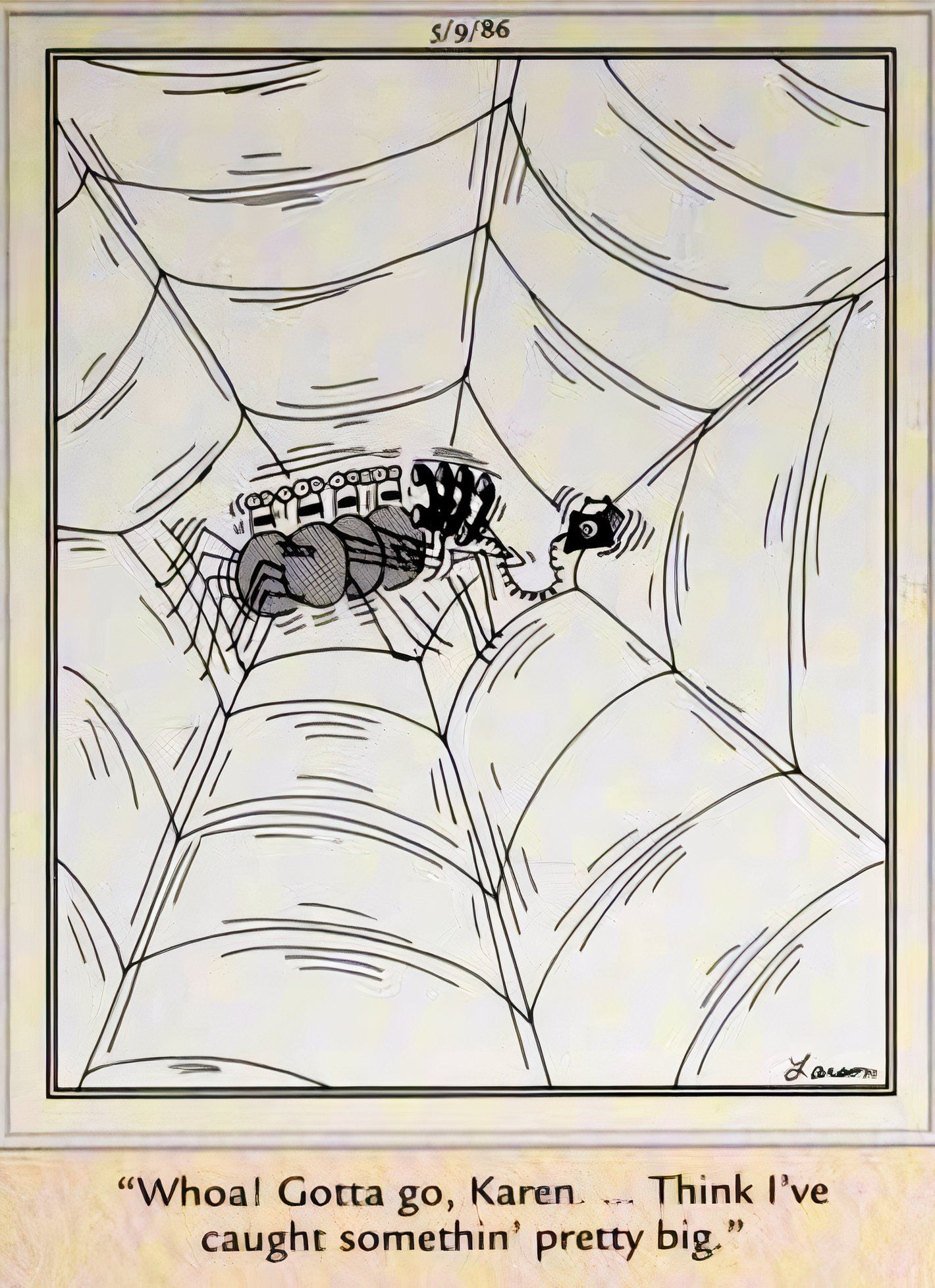 Far Side, 9 de maio de 1986, aranha falando ao telefone de repente começa a tremer quando algo atinge sua teia