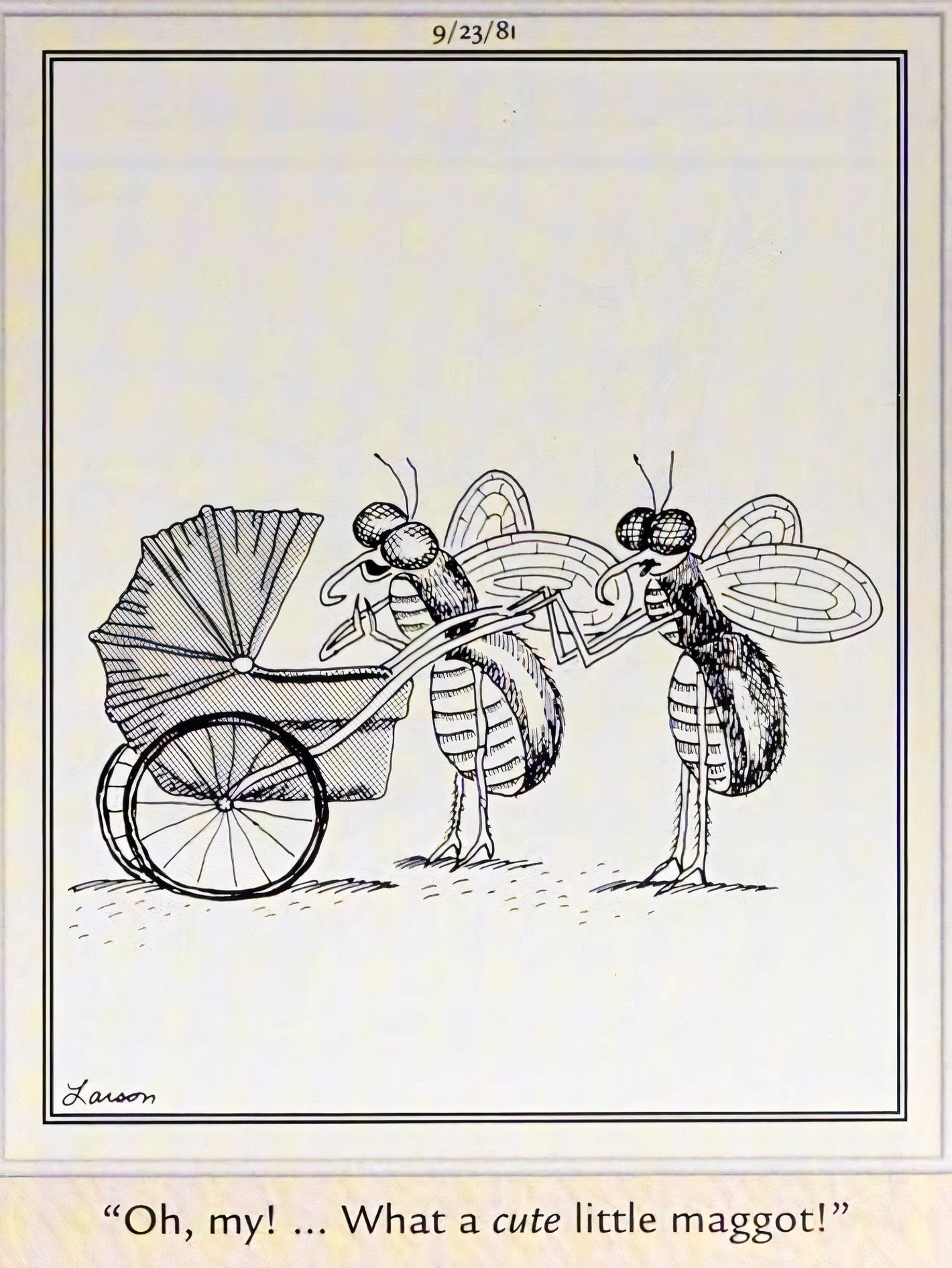 Far Side, September 3, 1981, a fly looks into a baby carriage and says 'what a cute little maggot'