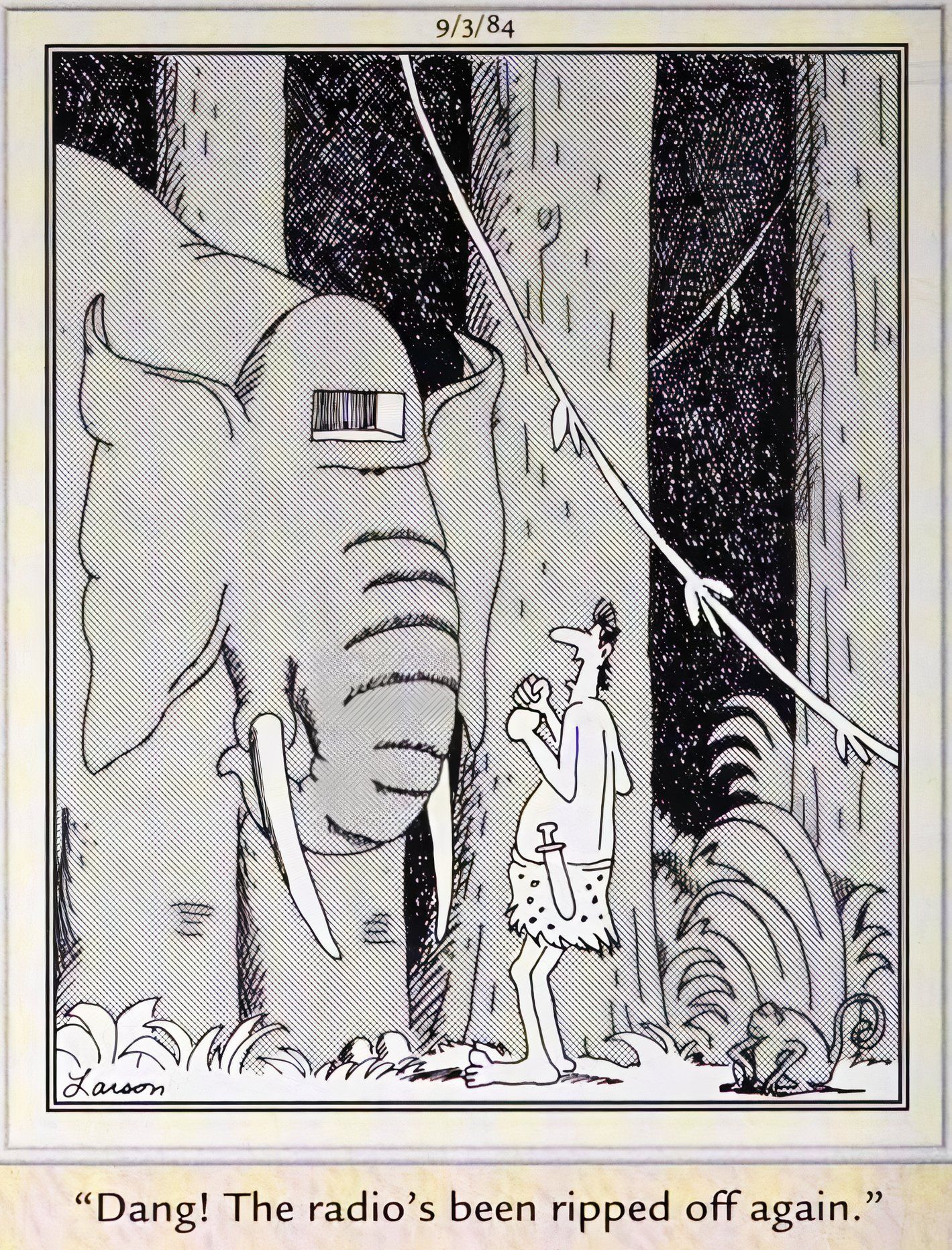 Far Side, September 3, 1984, Tarzan is irate that the radio was stolen from his elephant's forehead