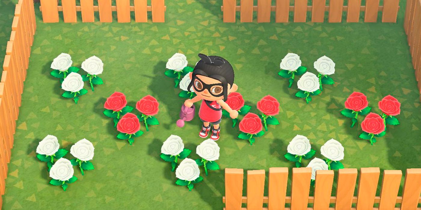 10 Animal Crossing: New Horizons Items That Should Be Functional, But Aren't