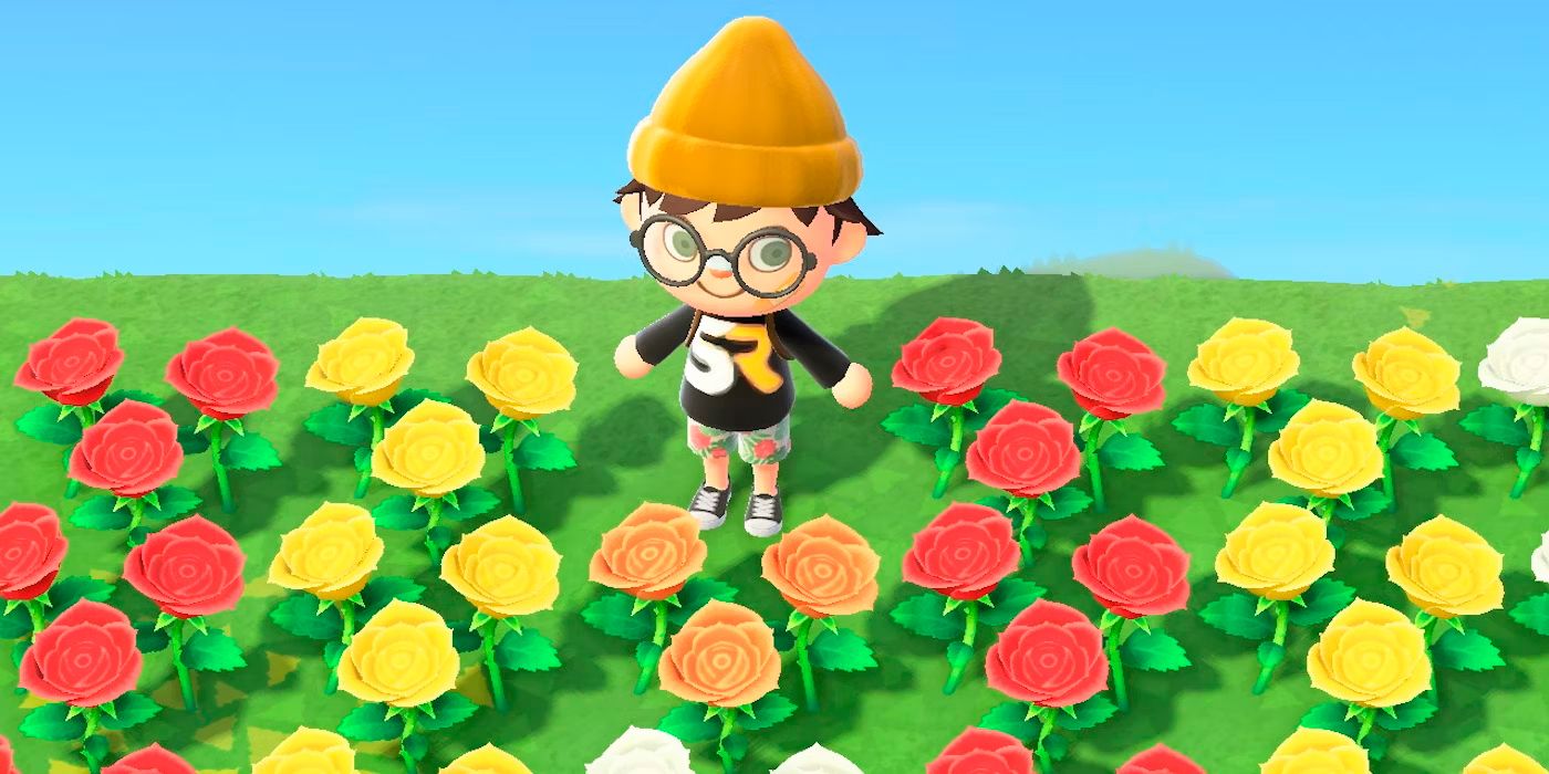 Longtime Animal Crossing Player Discovers They've Been Catching Bugs Wrong This Entire Time