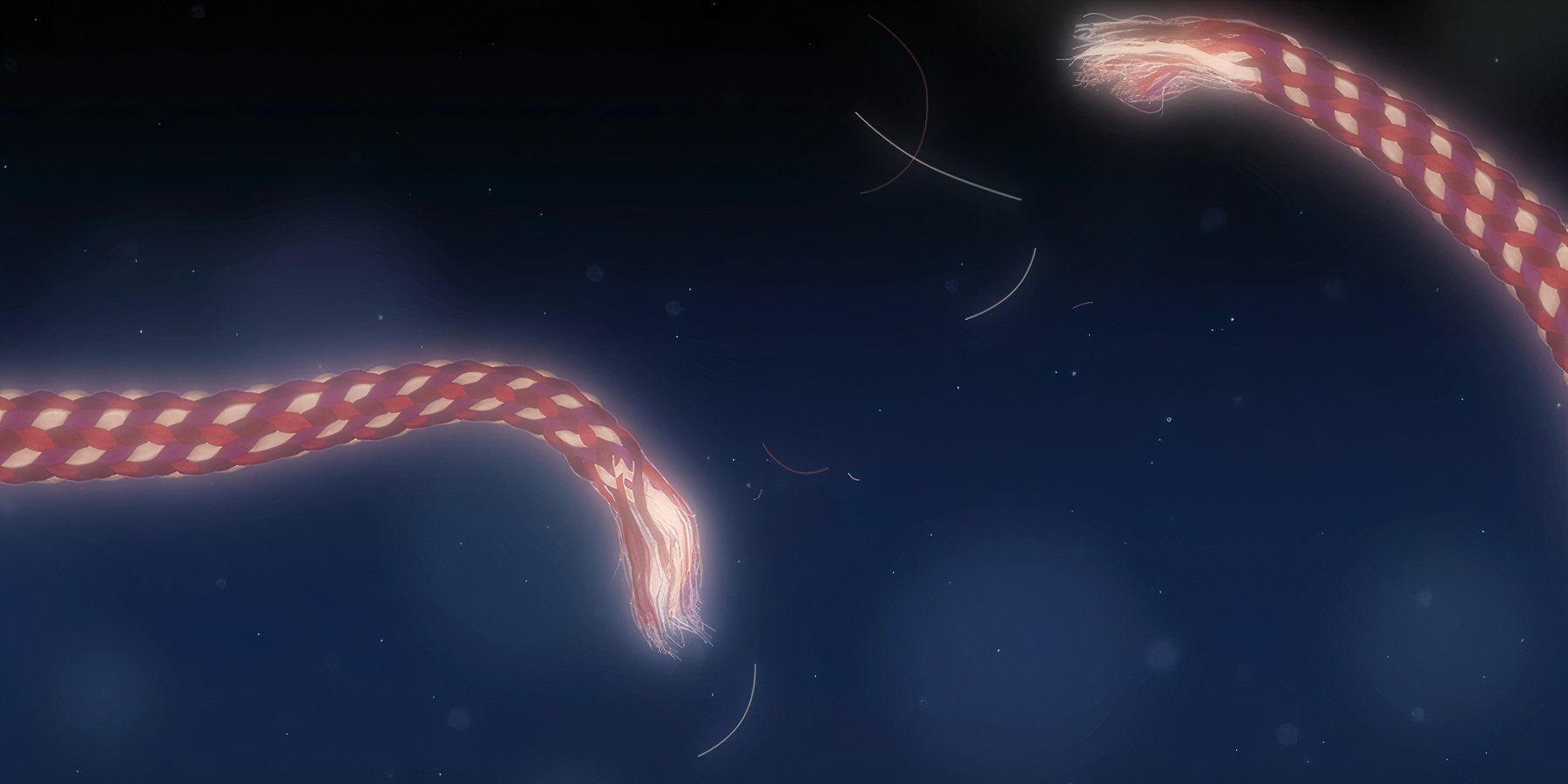 Fruits basket 2019 summary latest news trailer season list cast