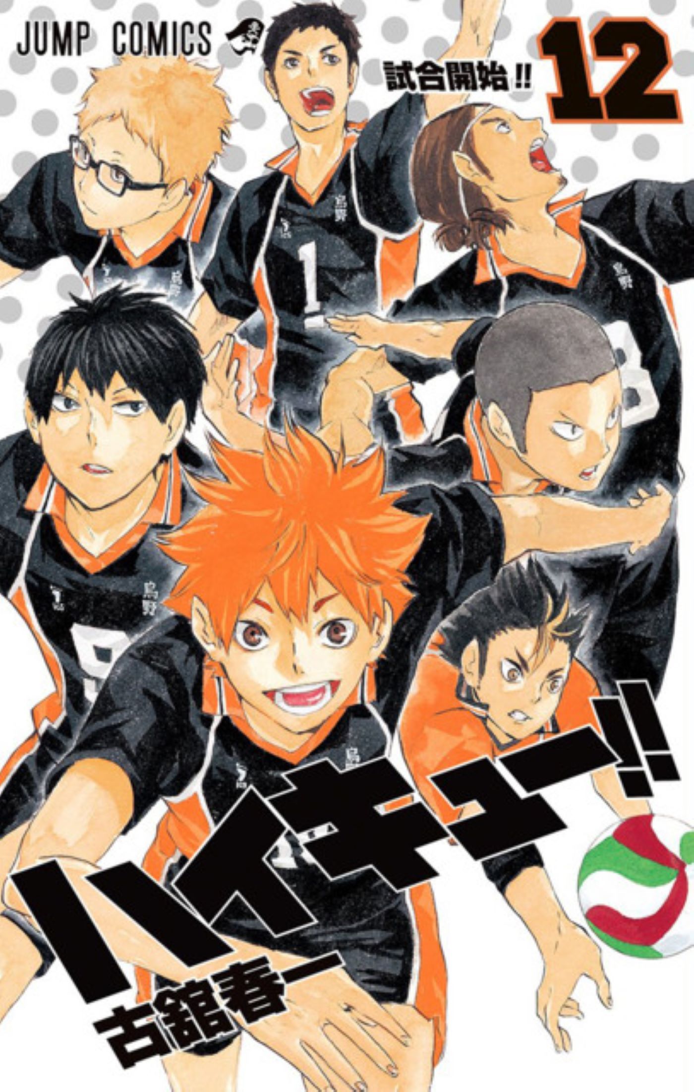 Haikyu!! - Mangá Volume 12