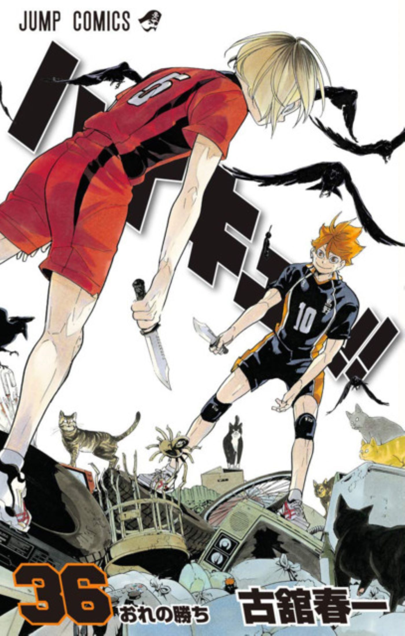 Haikyu!! - Mangá Volume 36