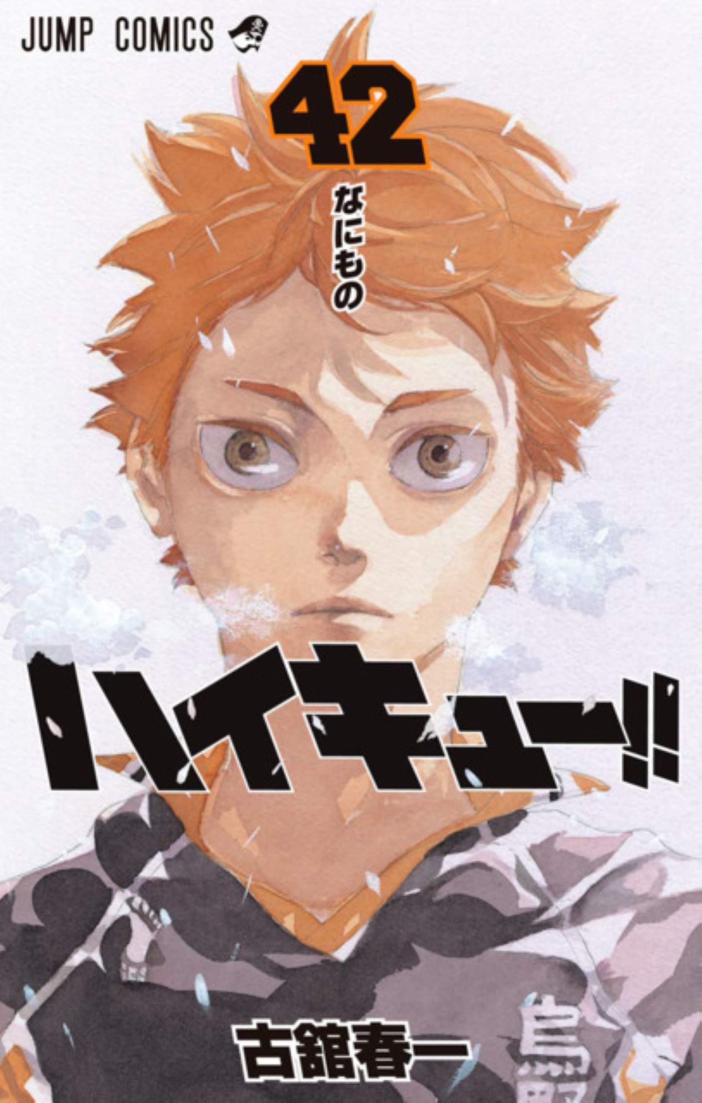 Haikyu!! - Mangá Volume 42