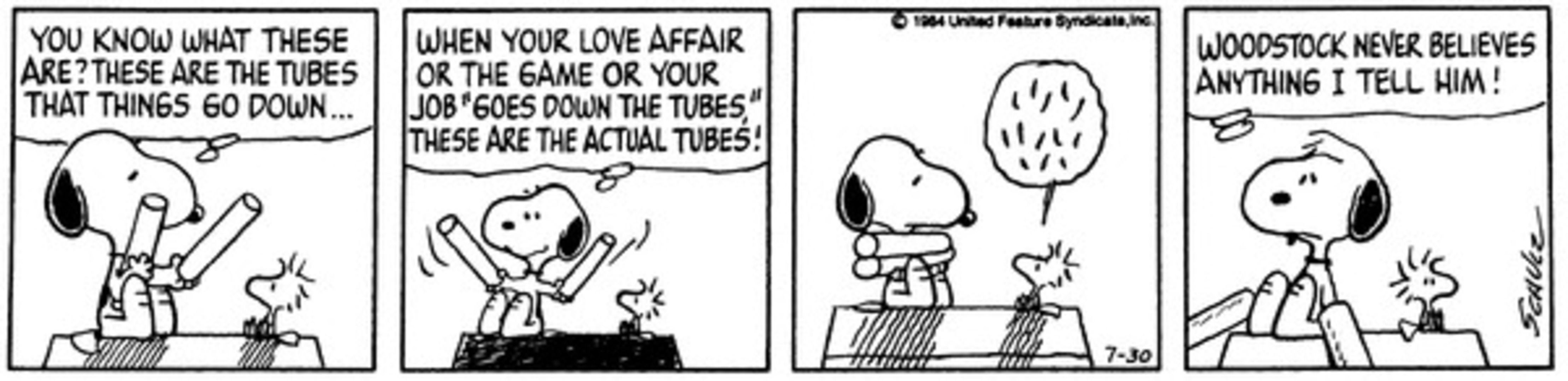 Snoopy holding tubes and showing them to Woodstock.