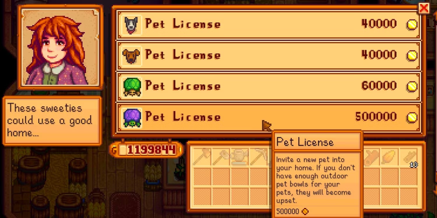 Obtendo uma licença de animal de estimação de tartaruga em Stardew Valley