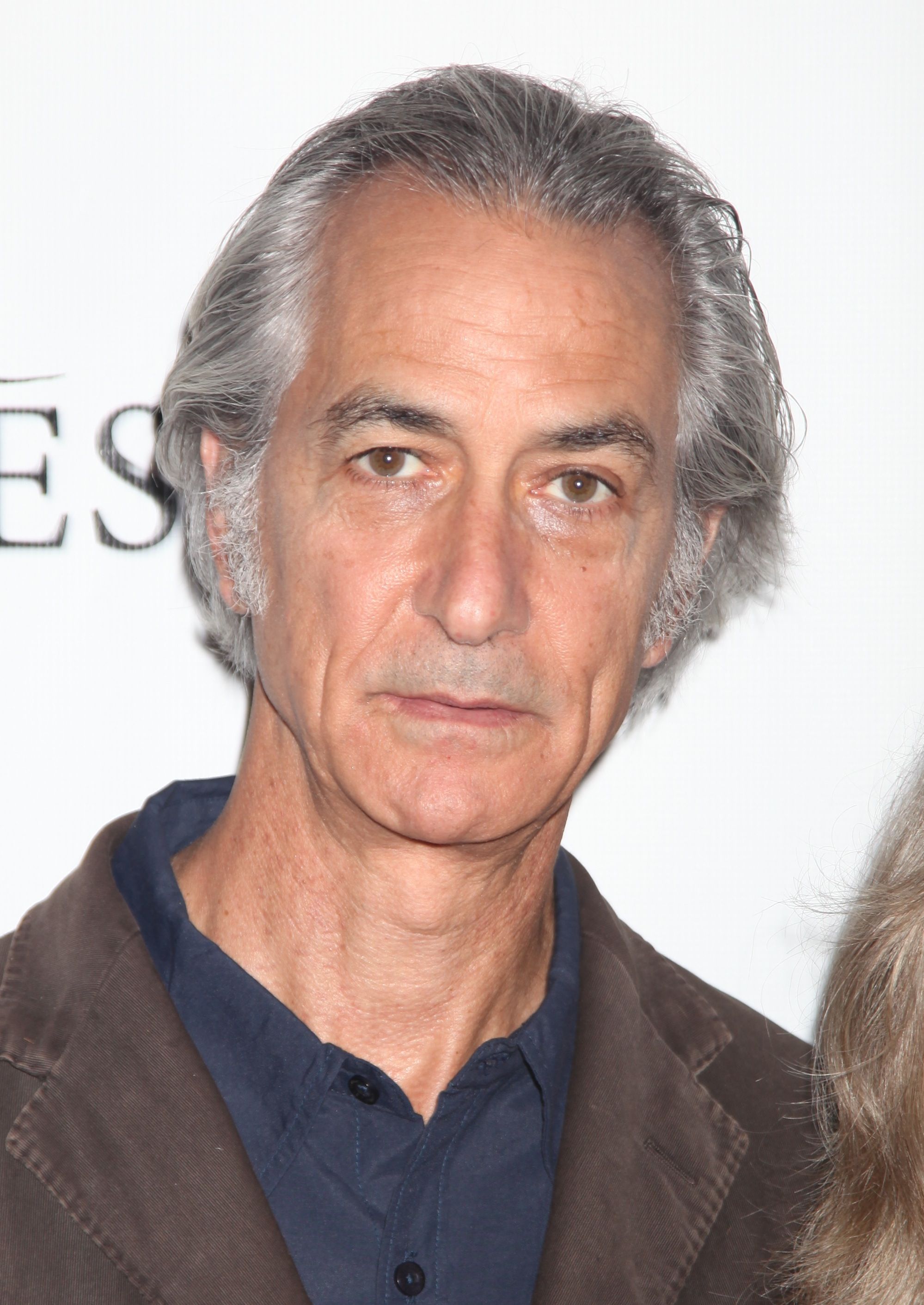 Headshot Of David Strathairn