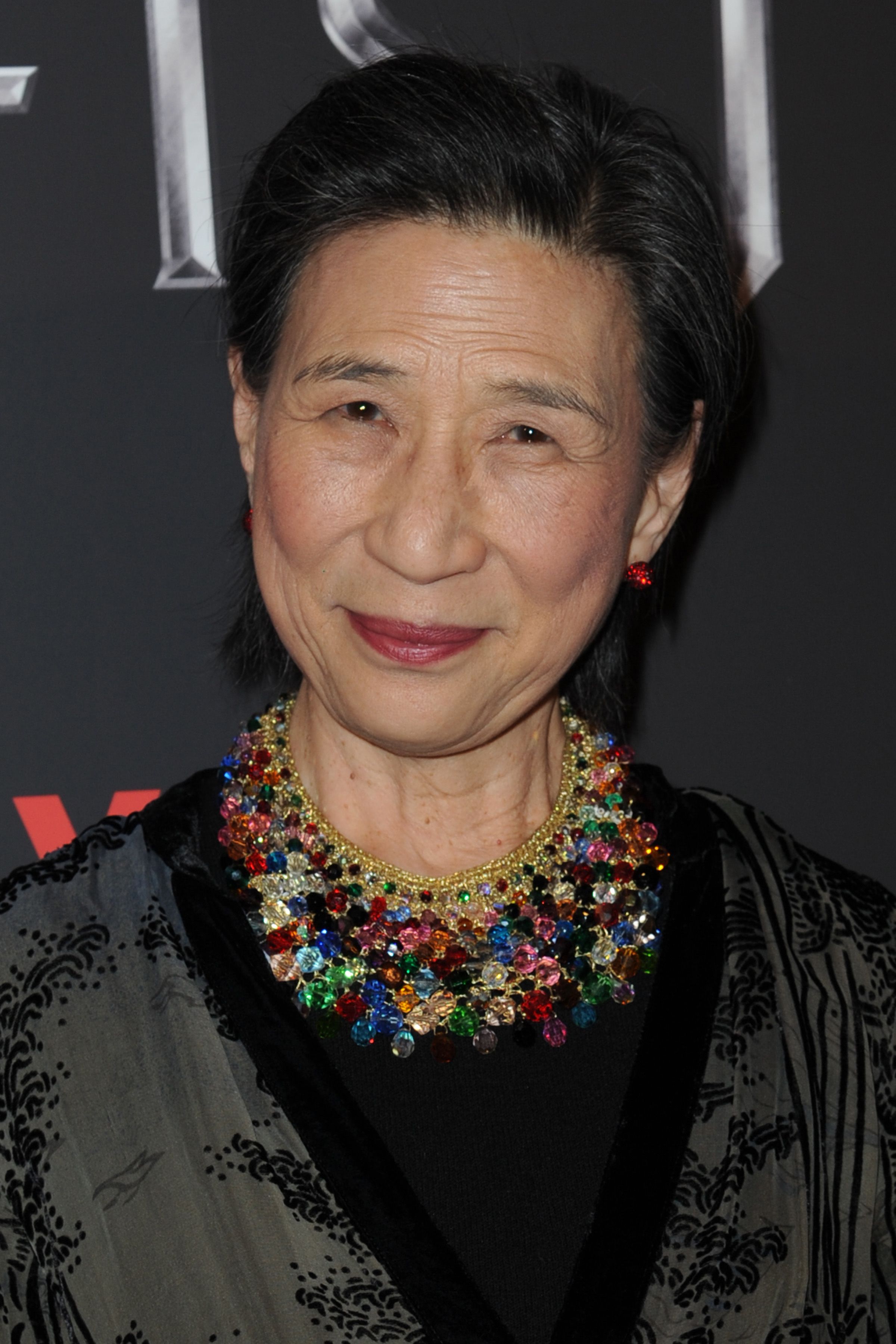 headshot Of Wai Ching Ho