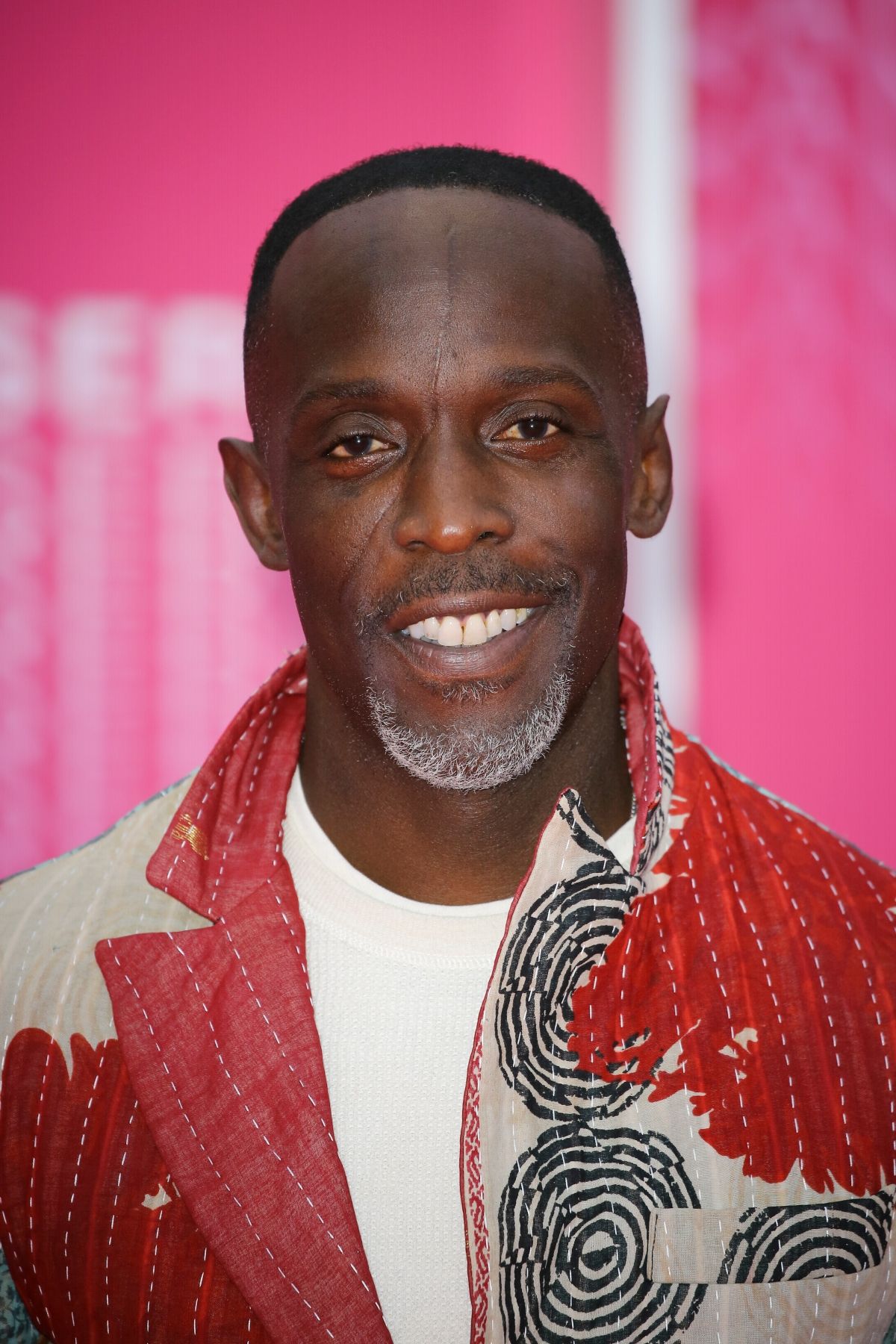 Headshot Of Michael Kenneth Williams