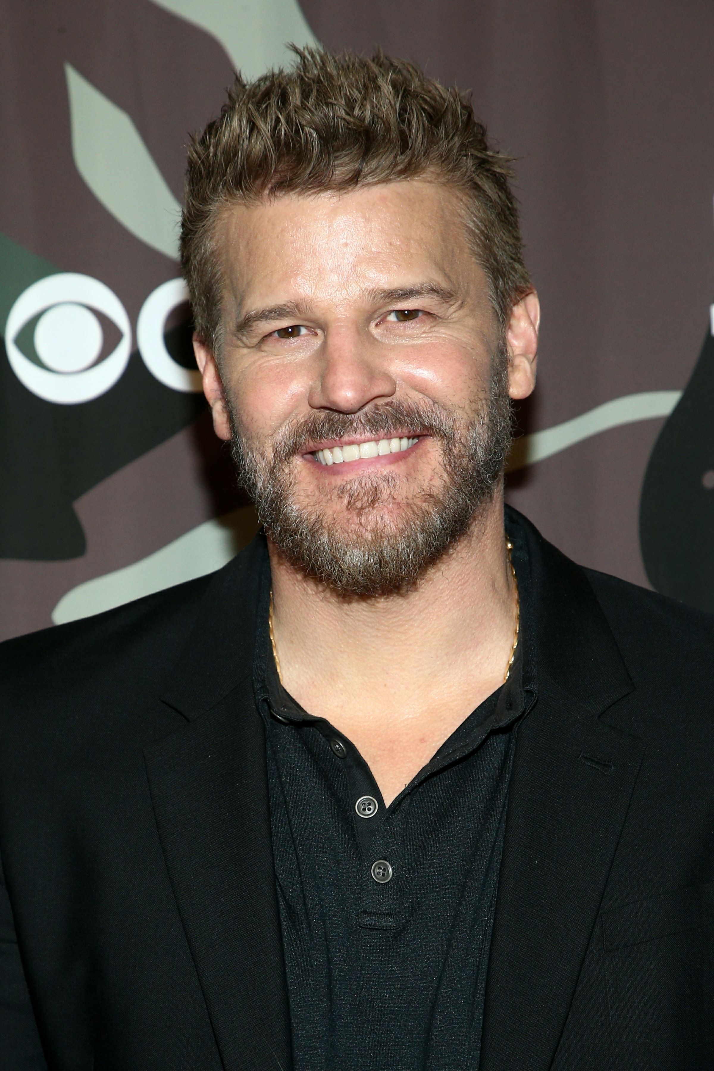 David Boreanaz Reveals Next TV Show Plans After SEAL Team