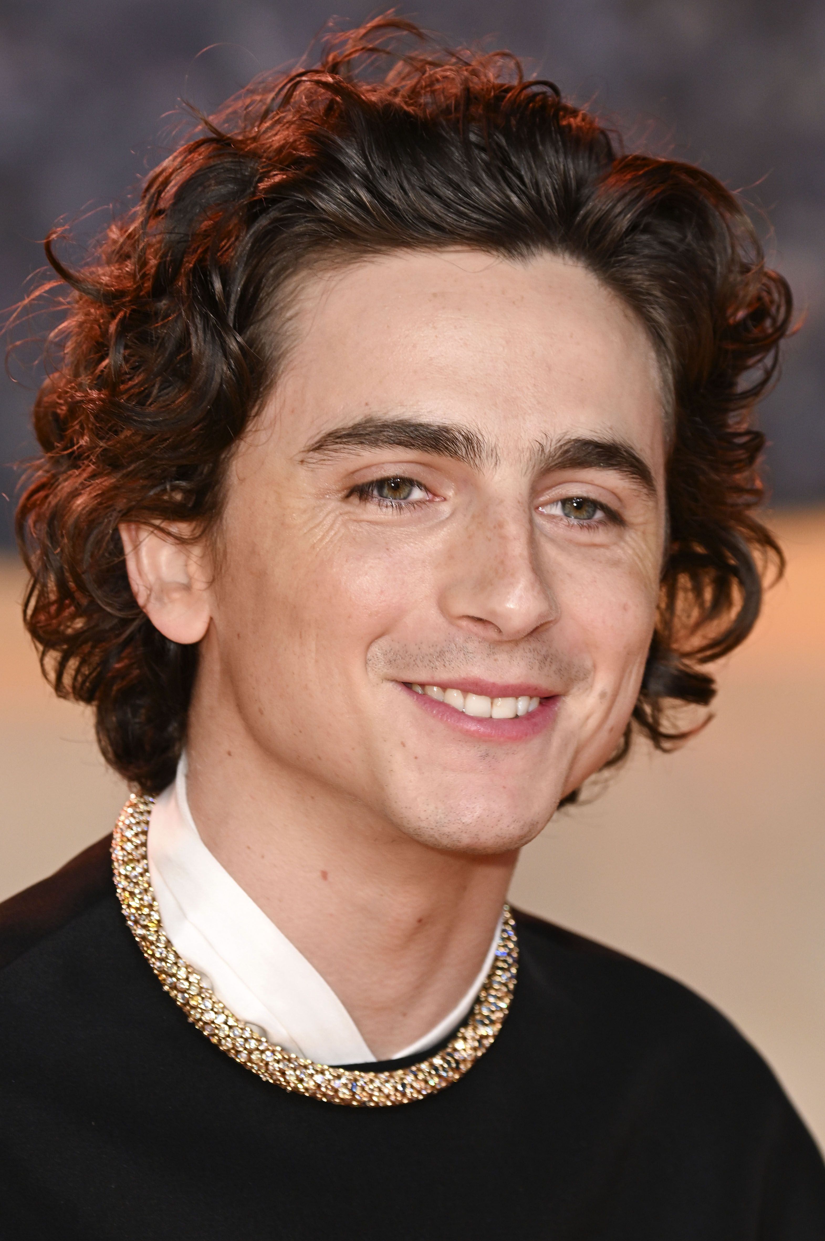 Timothée Chalamet