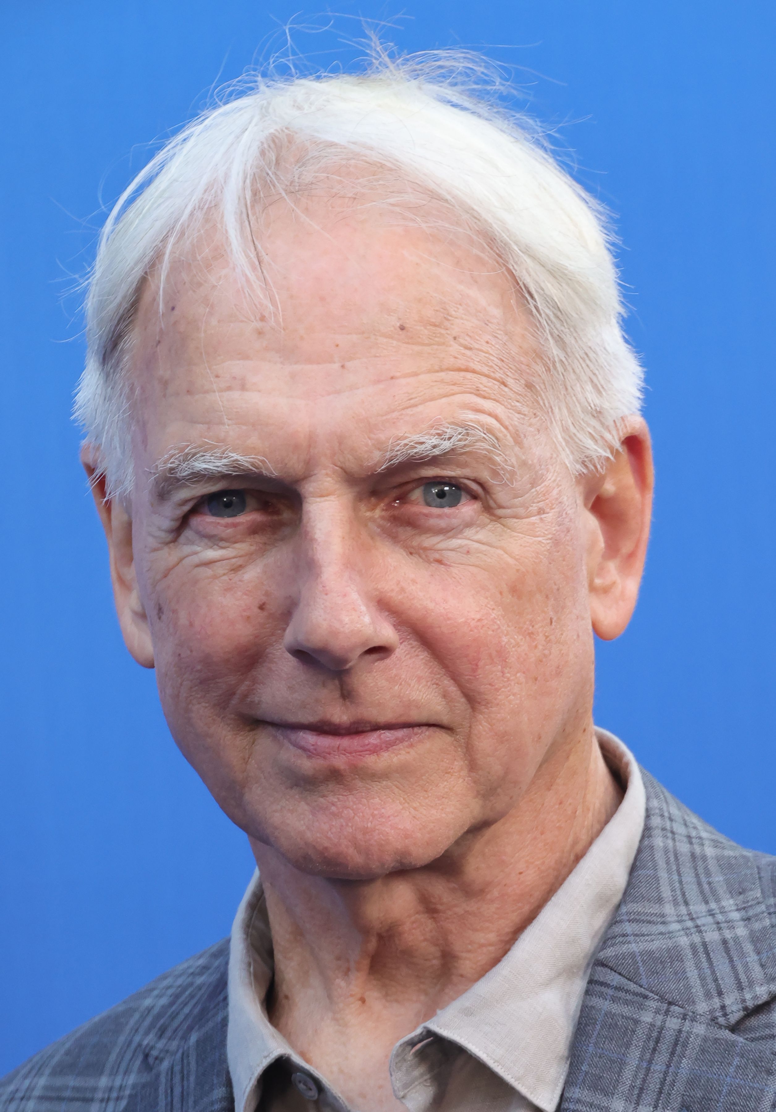 Headshot Of Mark Harmon