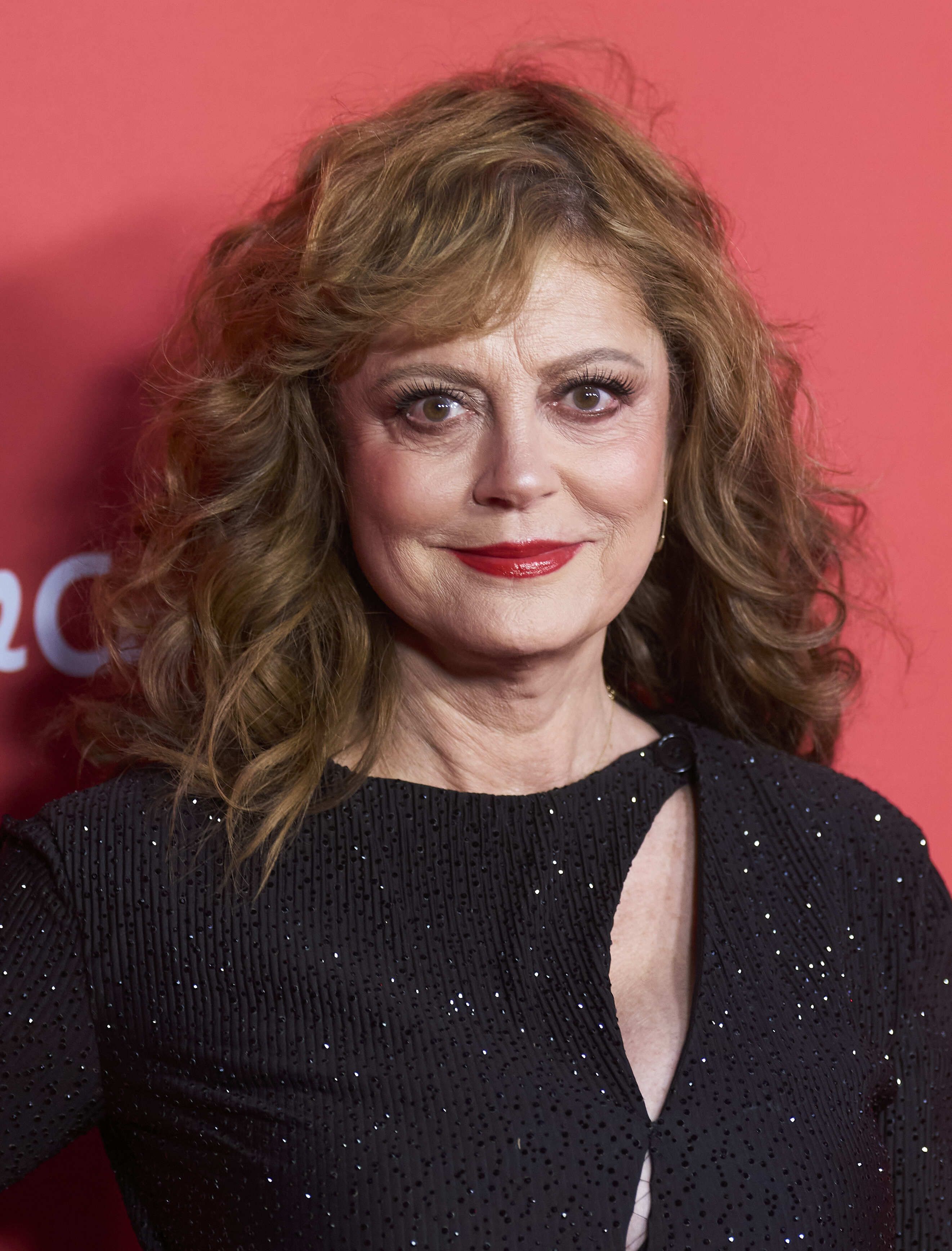 Unlocking The Mystery Of Susan Sarandon's Millions