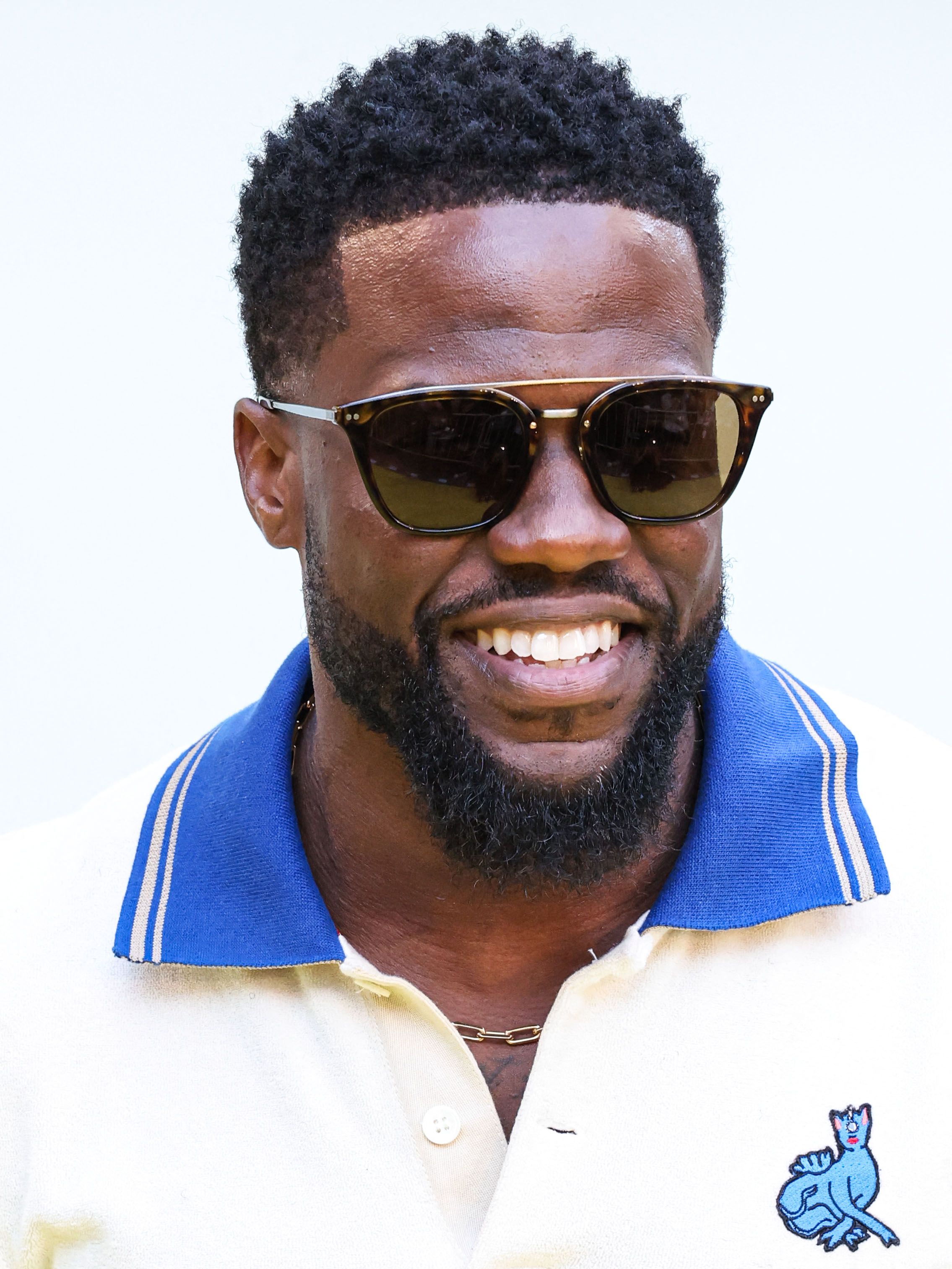 Ride Along 2 Summary, Trailer, Cast, and More