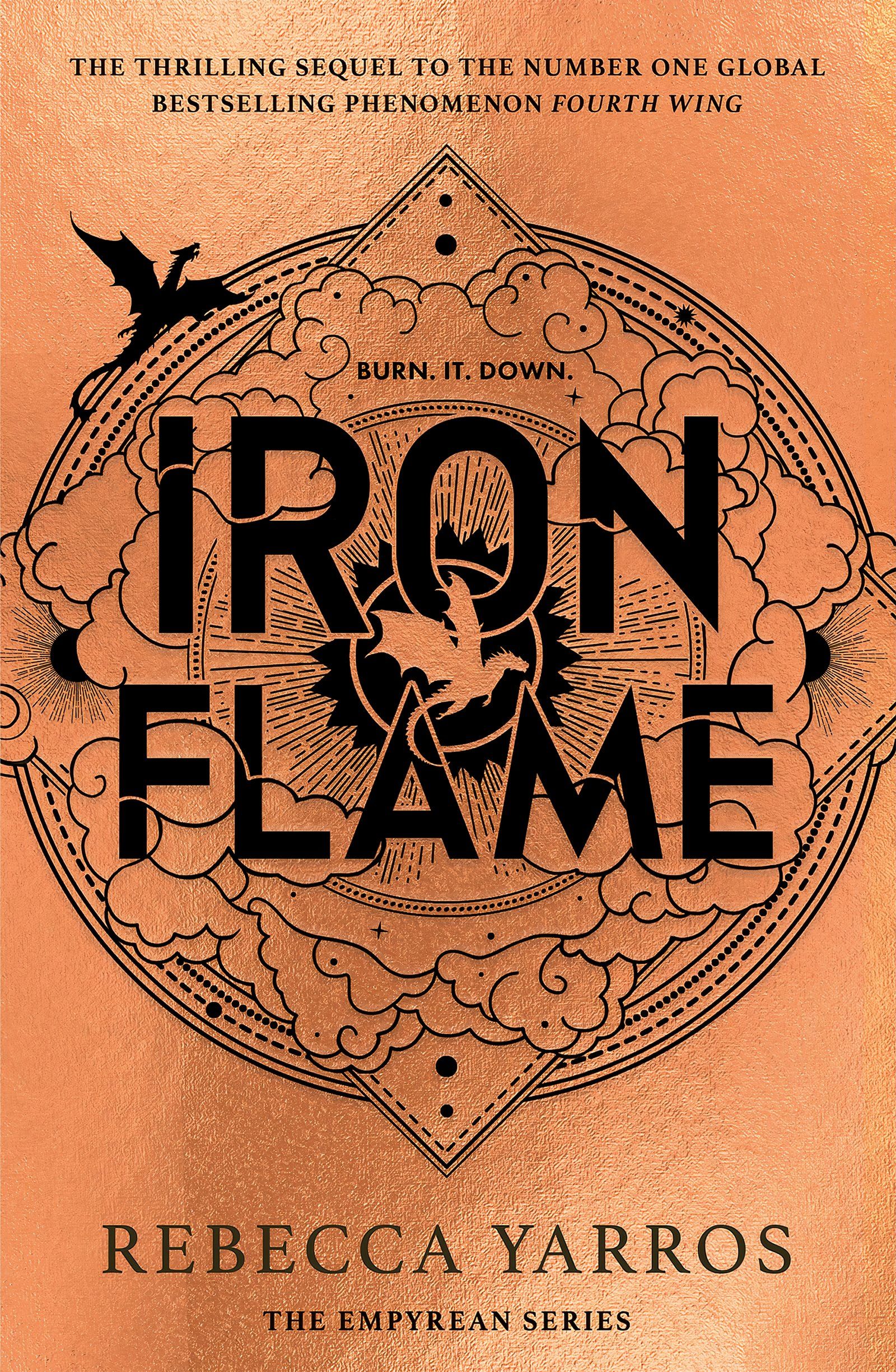 Capa do livro Iron Flame