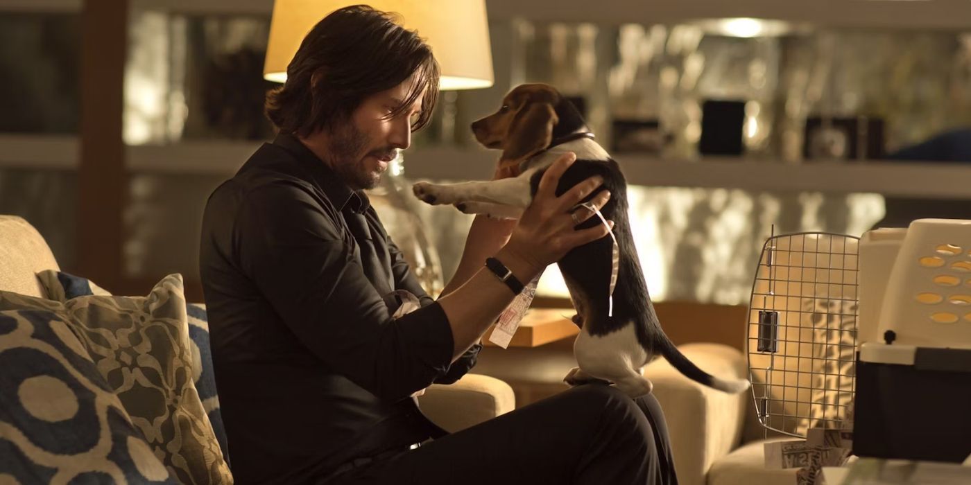 "You Can't Do This!": Keanu Reeves Defended John Wick's Biggest Plot Point From Financiers