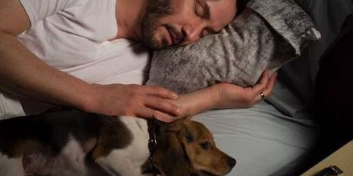 12 Things You Didn't Know About John Wick's Dogs