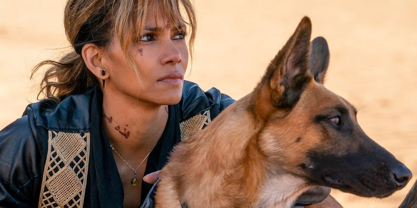 La actualización del spin-off de John Wick de Halle Berry confirma un error de franquicia de 5 años de desarrollo