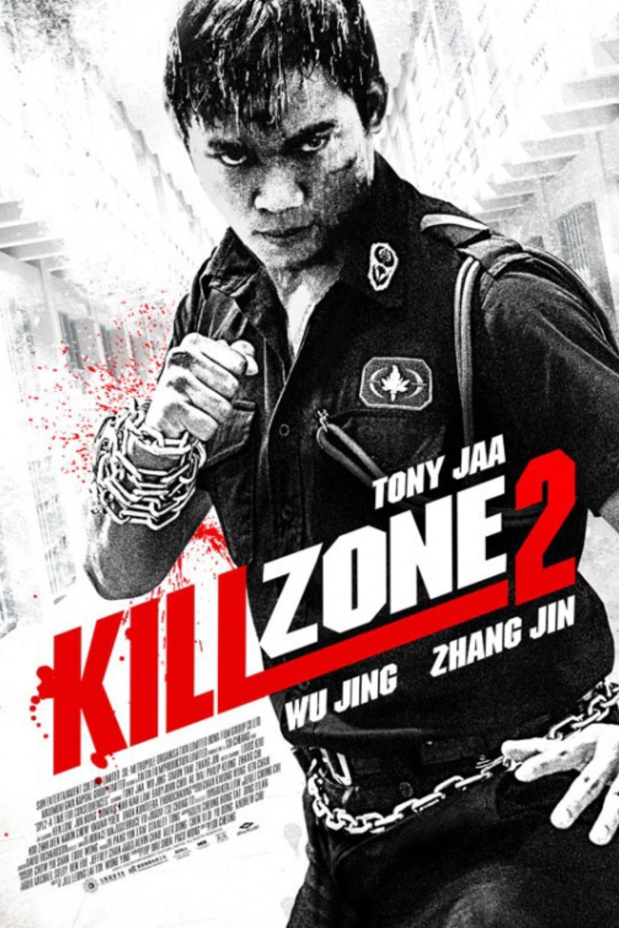 Kill Zone 2 (2015) - Poster