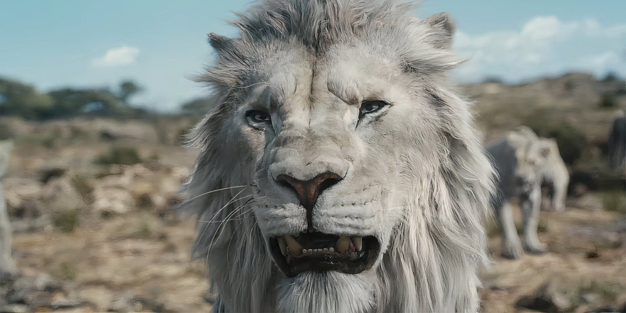 Mufasa: The Lion King - Release Date, Cast, Story, Trailer & Everything We Know About The Live-Action Prequel