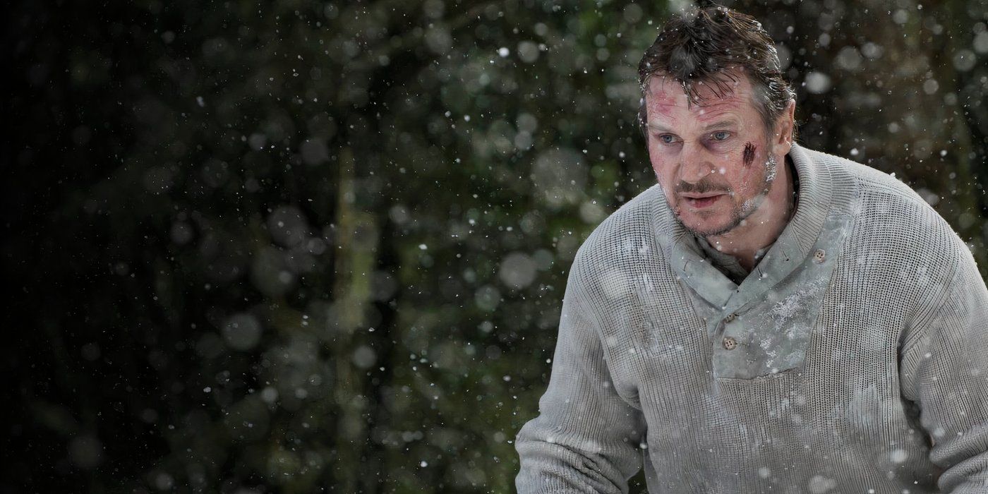 10 Underrated Liam Neeson Action Movies That Flew Under Your Radar