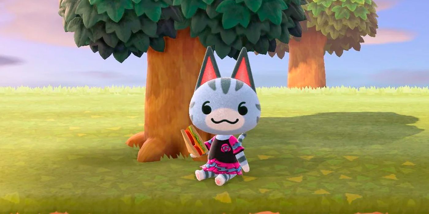 El jugador de Animal Crossing muestra el único elemento de visualización que definitivamente no estás usando lo suficiente en tu isla