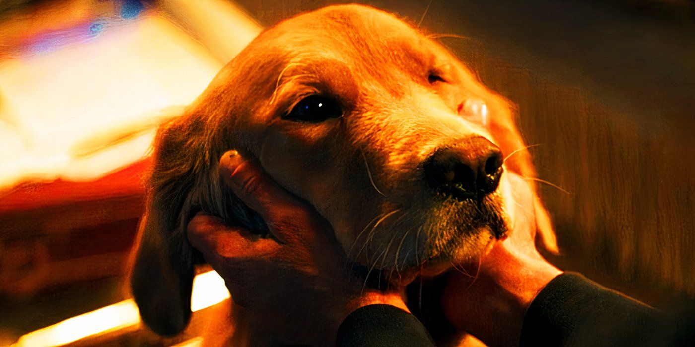 Every Pet Dog In The MCU, Ranked By How Willing We'd Be To Take A Bullet For Them