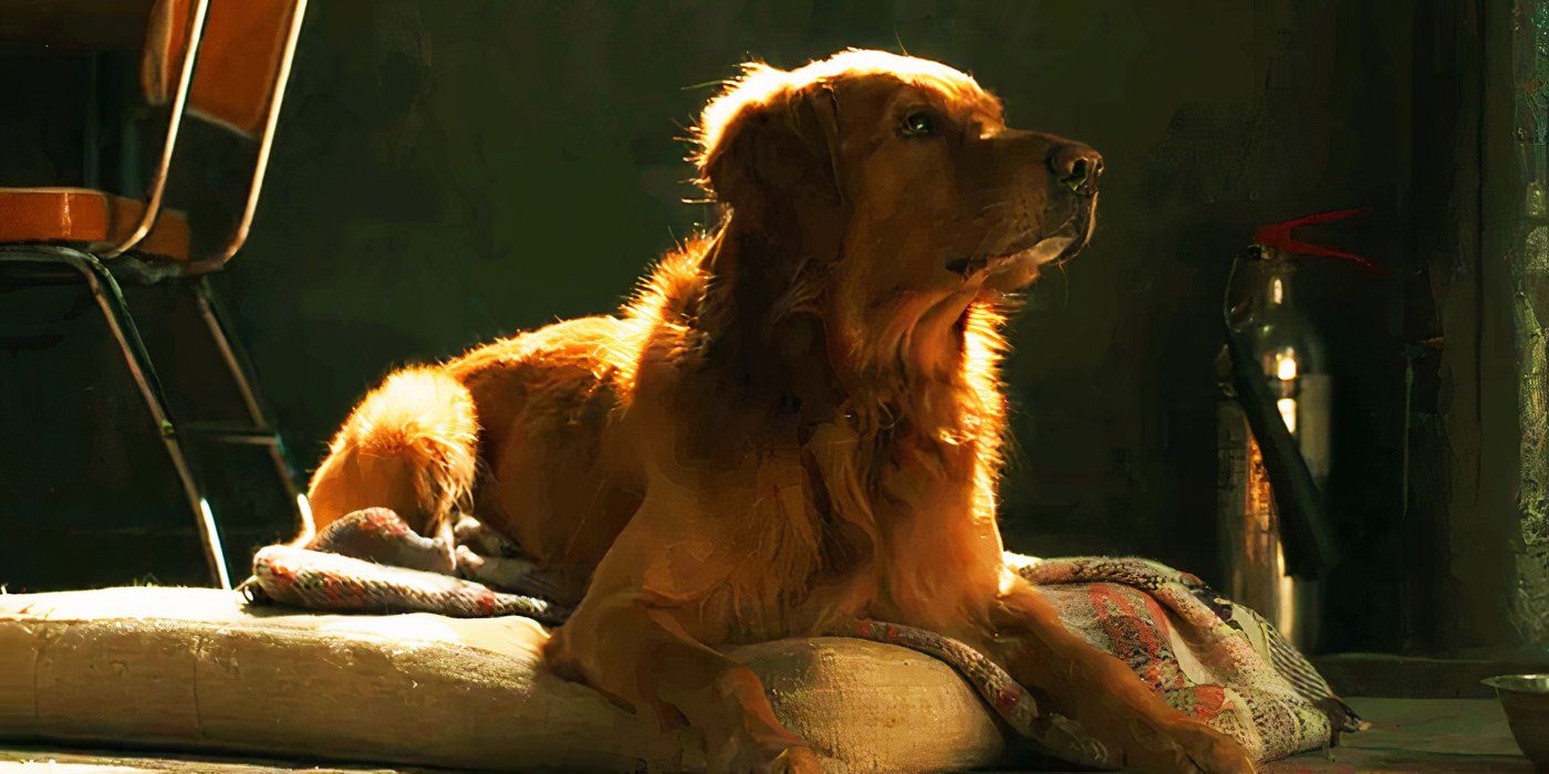 Every Pet Dog In The MCU, Ranked By How Willing We'd Be To Take A Bullet For Them