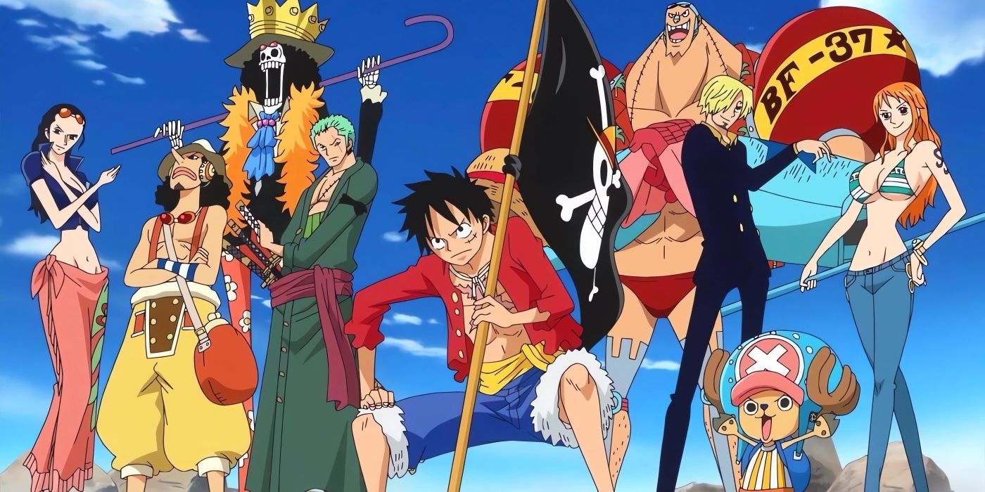 Luffy and his friends, the Straw Hat crew.