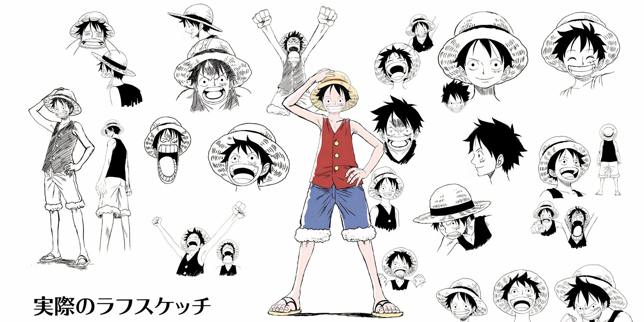 The One Piece Anime Remake Latest News, Art, & Everything We Know 