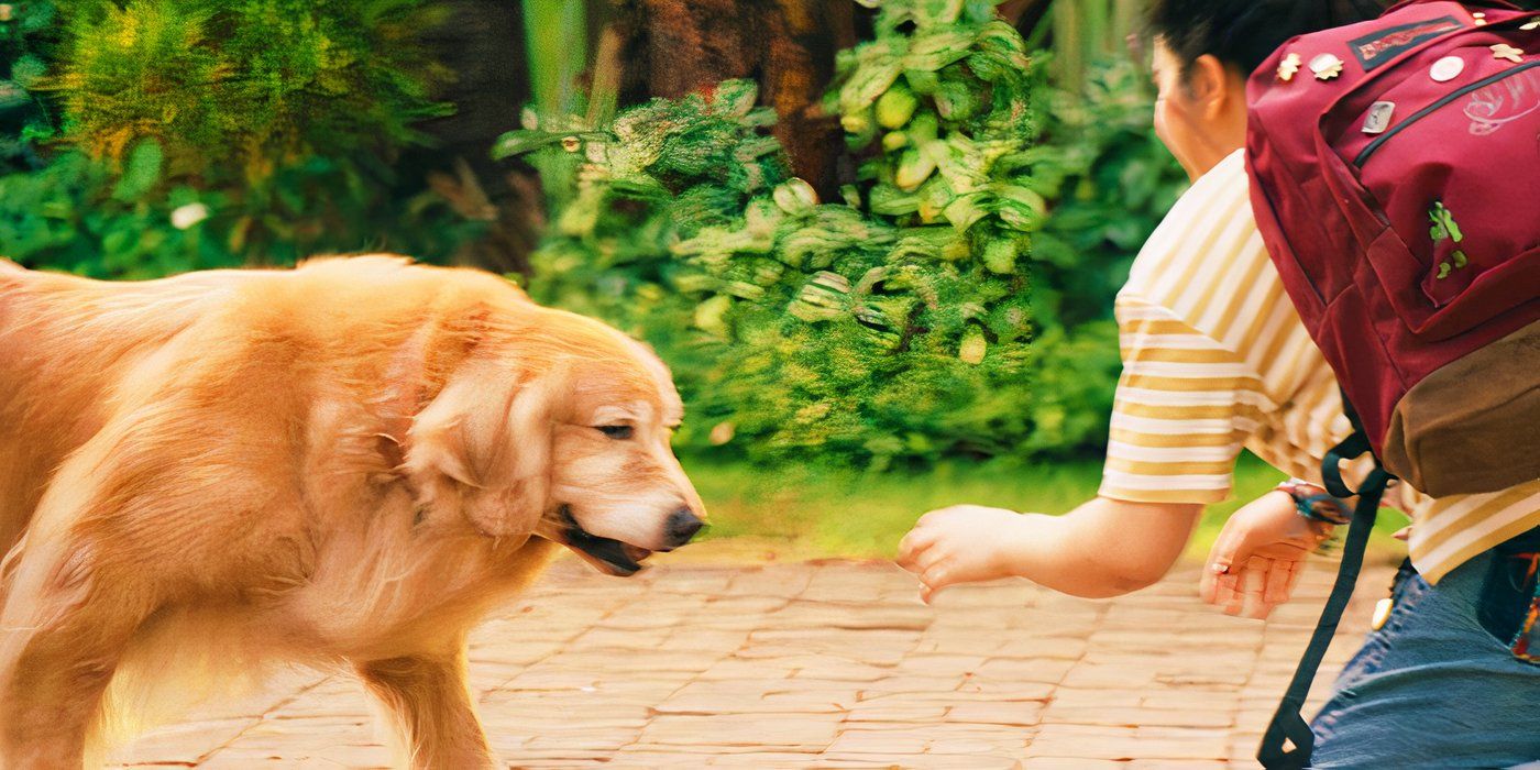 Every Pet Dog In The MCU, Ranked By How Willing We'd Be To Take A Bullet For Them