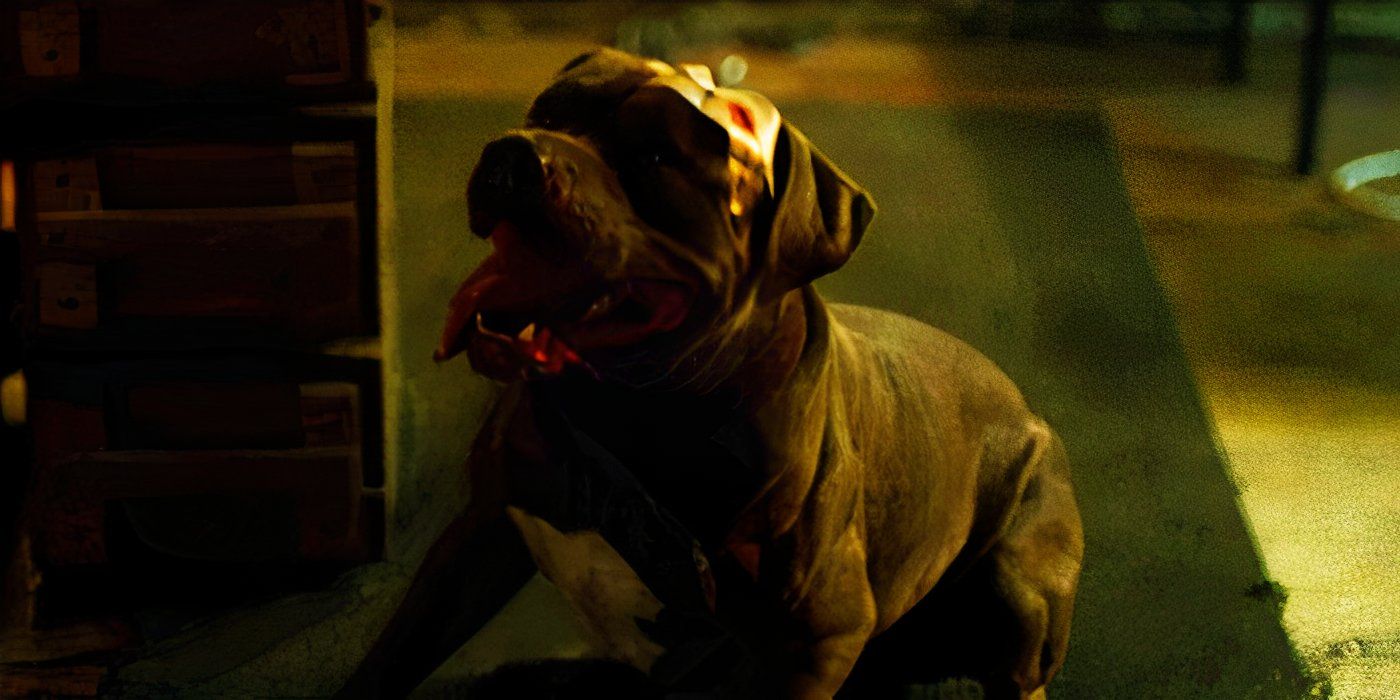 Every Pet Dog In The MCU, Ranked By How Willing We'd Be To Take A Bullet For Them