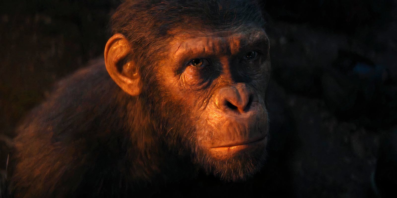 La nueva actualización de la trilogía de Planet Of The Apes es un alivio después de la secuela de $ 397 millones