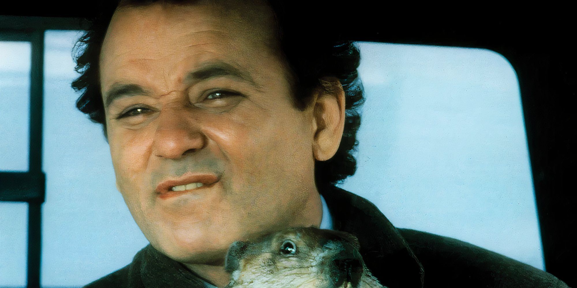 Phil Connors in groundhog day