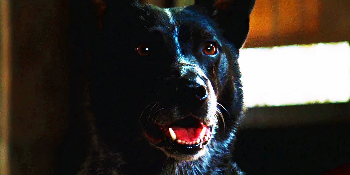 Every Pet Dog In The MCU, Ranked By How Willing We'd Be To Take A Bullet For Them