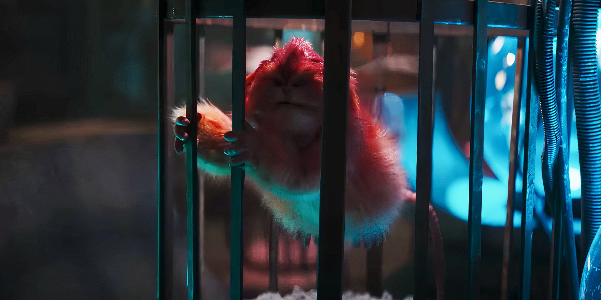 Captain EO's Fuzzball creature flies inside a cage in the trailer for Star Wars: Skeleton Crew