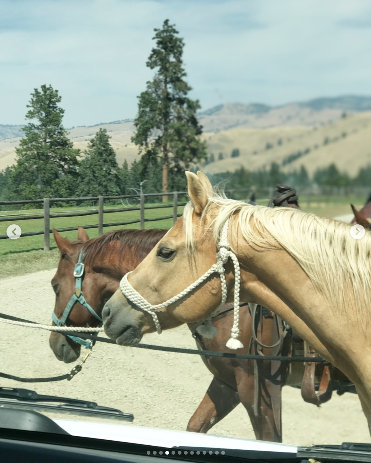 Yellowstone Star Celebrates Season 5 Part 2 Filming Wrap with BTS Photos