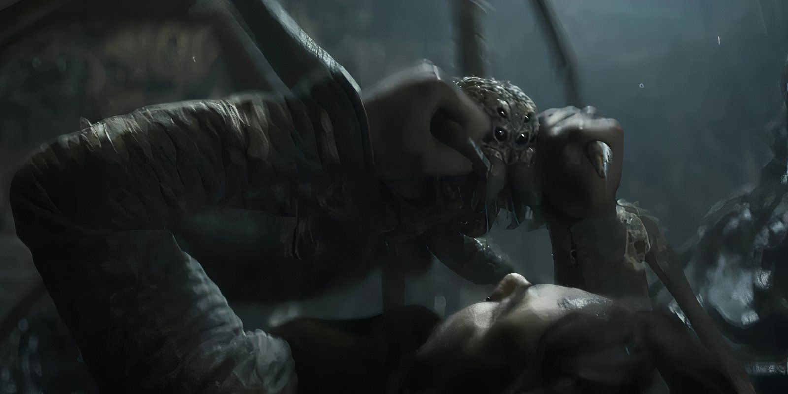 Is That Shelob In The Rings Of Power Season 2's Spider Scene?