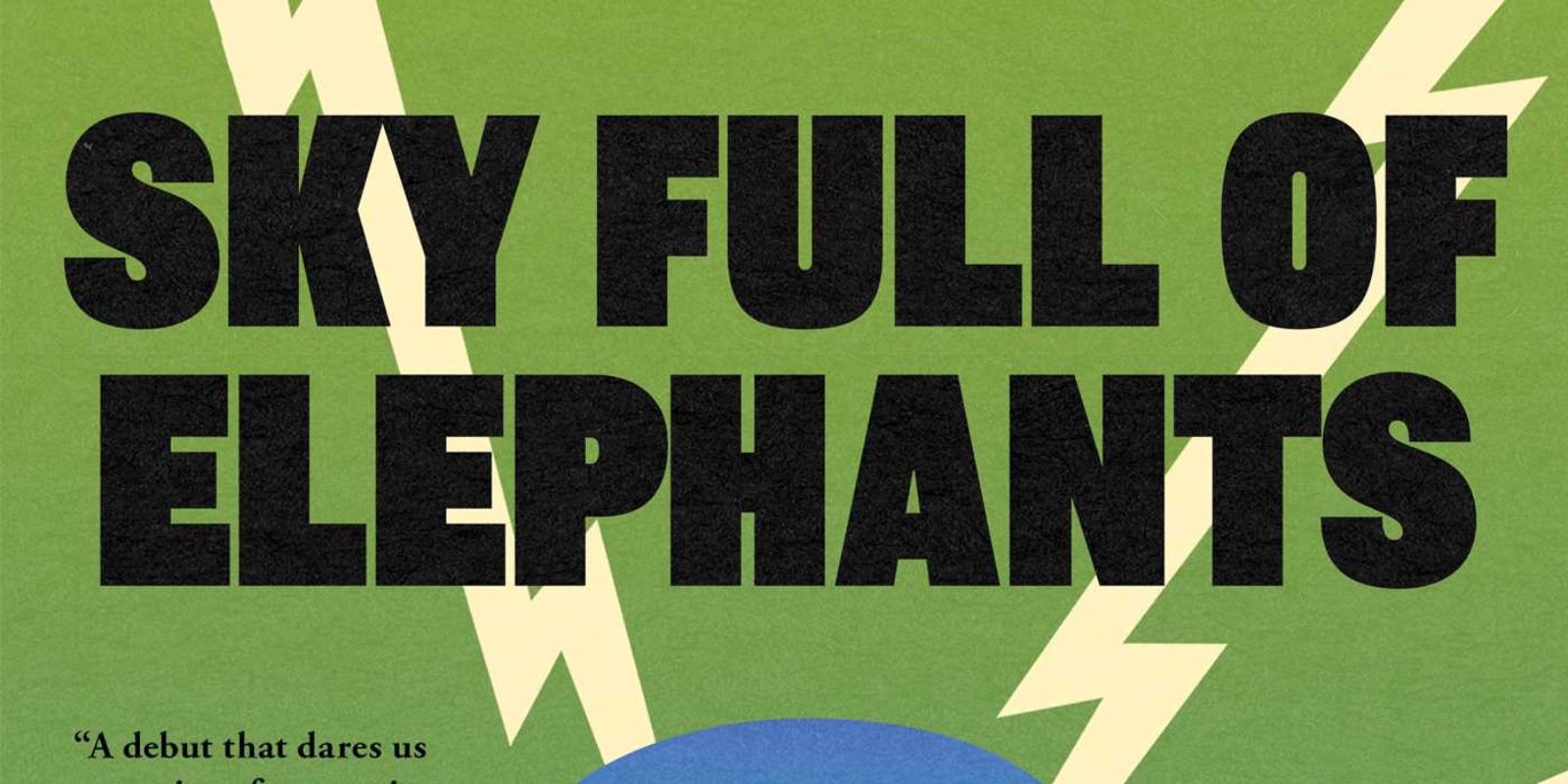 The cover of Sky Full of Elephants