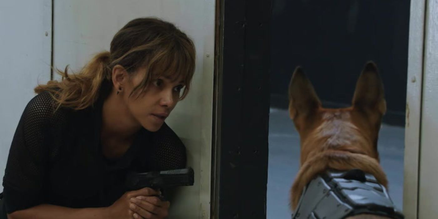 La actualización del spin-off de John Wick de Halle Berry confirma un error de franquicia de 5 años de desarrollo