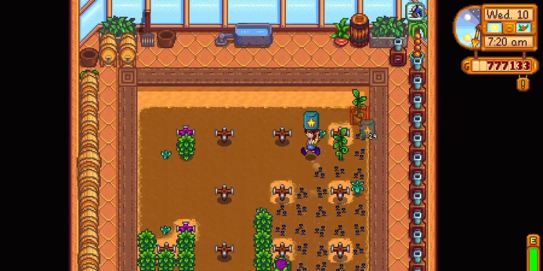 El jugador de Stardew Valley descubre una mecánica de juego clave después de 300 horas