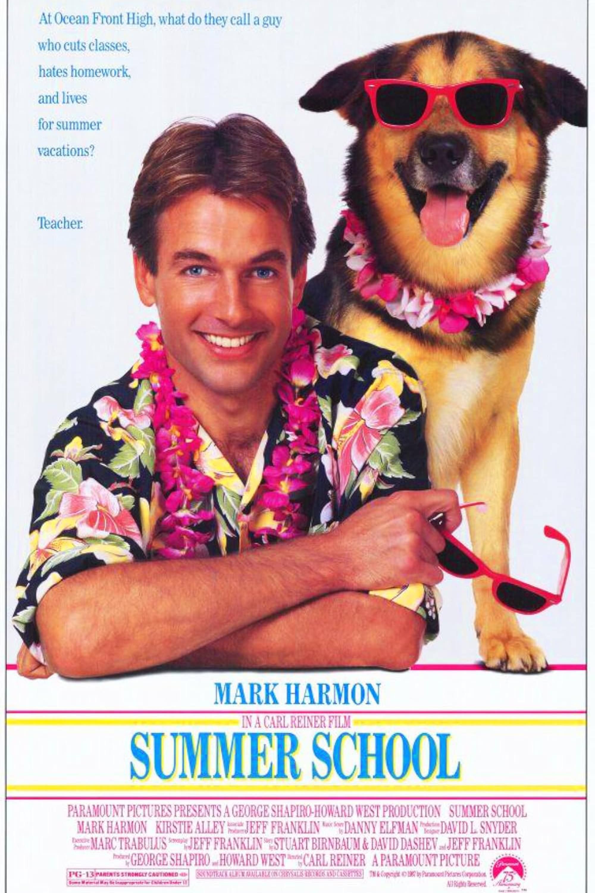 Summer School - poster