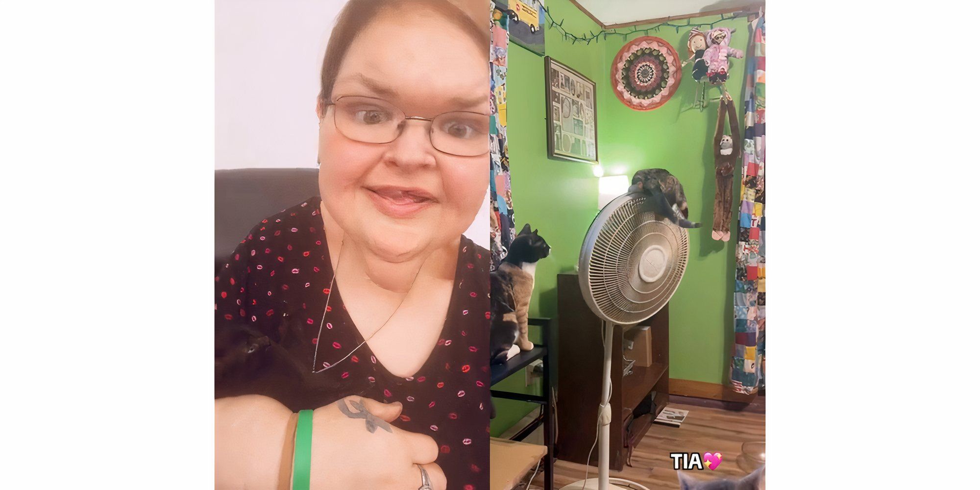 Tammy Slaton em 1000 Lb Sisters brincando com seus gatos de estimação em casa no TikTok