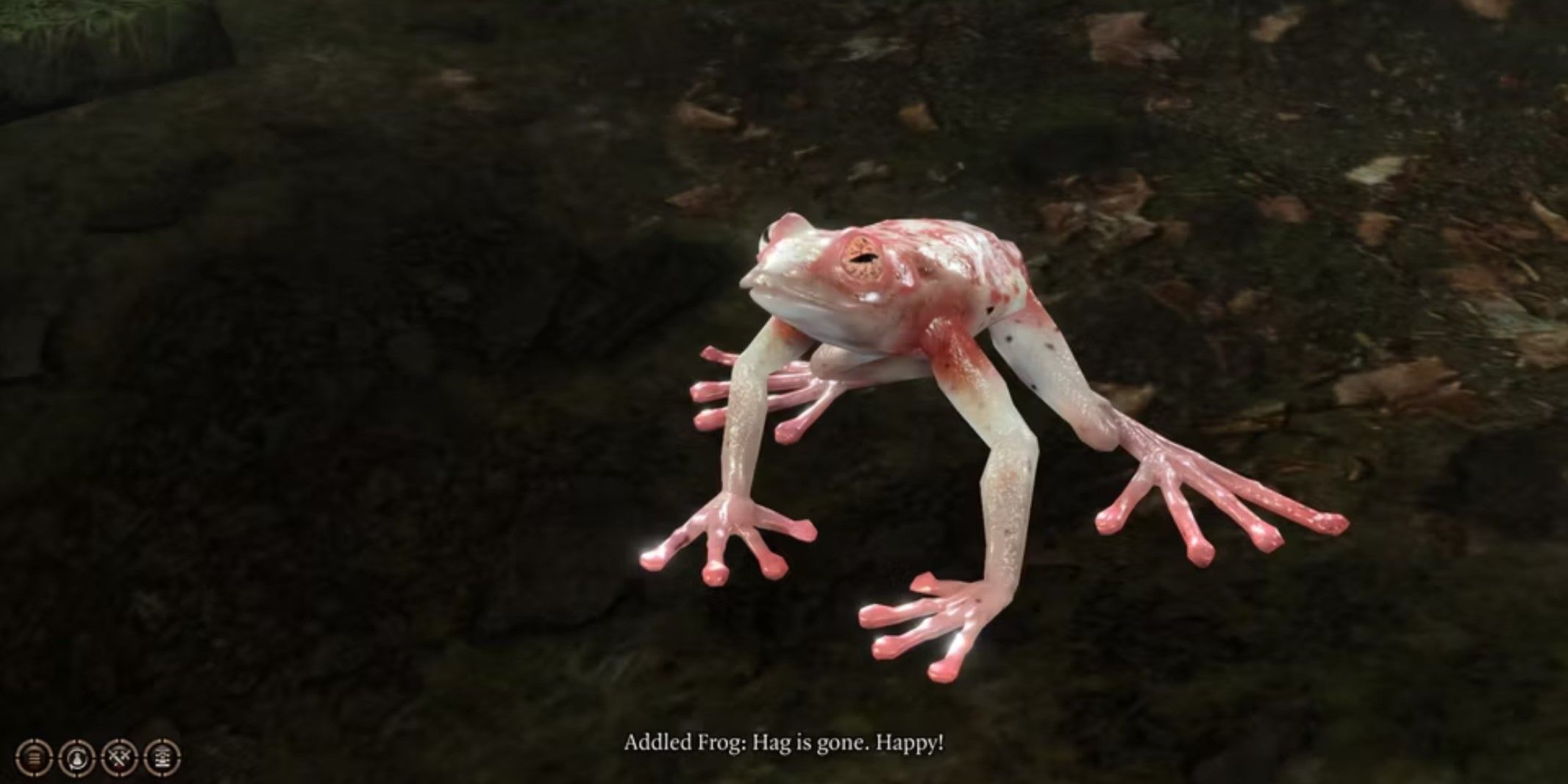 Baldur's Gate 3: Addled Frog Guide (Location, Uses, & Rewards)